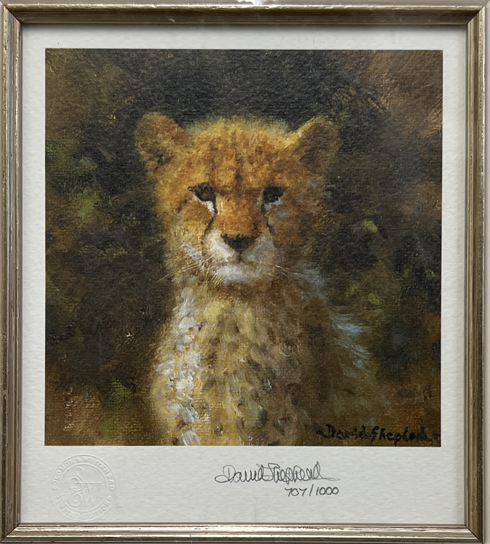 Miniature Cub Cheetah by David Shepherd