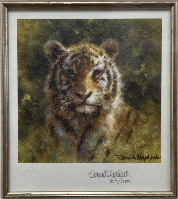 Miniature Cub Tiger by David Shepherd