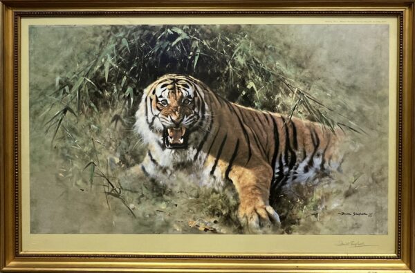 Image of Tiger Fire by David Shepherd