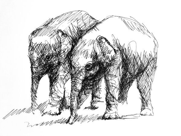 Sketch - Tim Hastilow