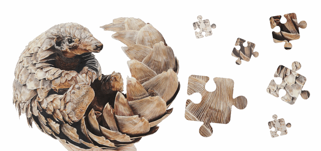 WM-Pangolin-puzzle-1024x484.png