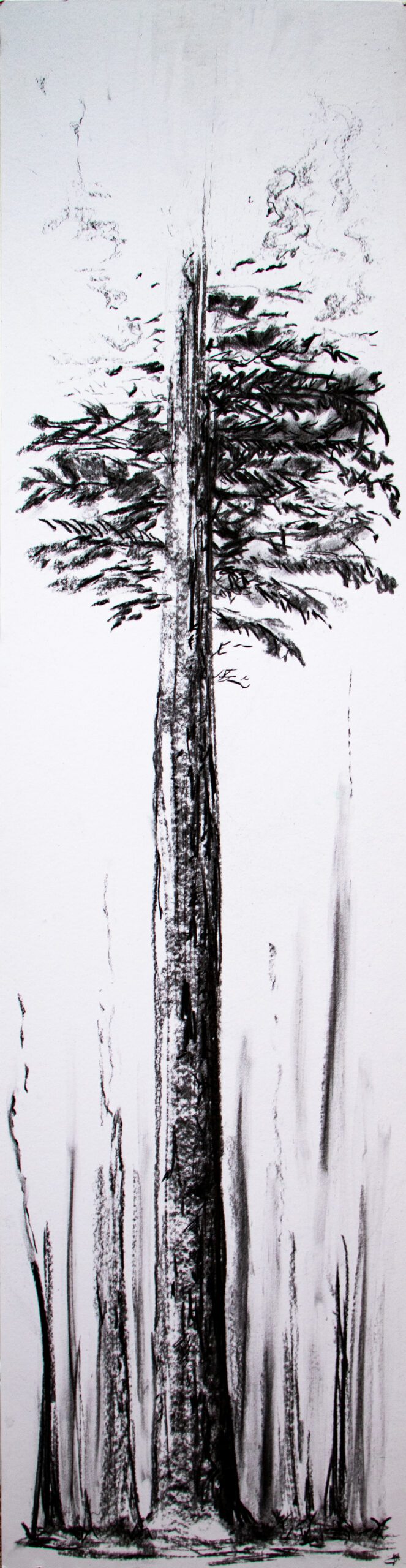 #WAY24MAIN64 Alicia Hayden - Charcoal