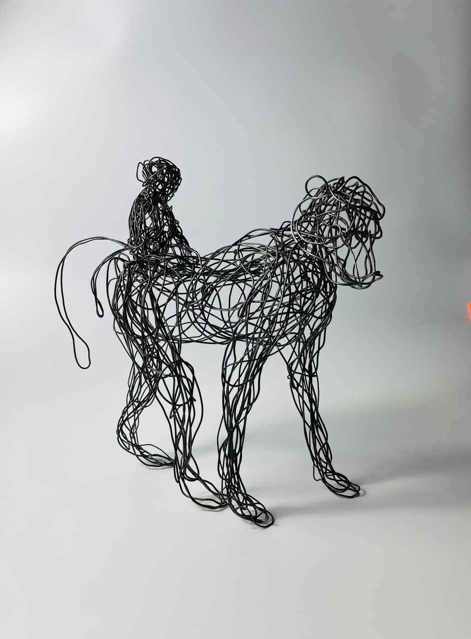 #WAY038 Beverley Drury - Baboon on Board