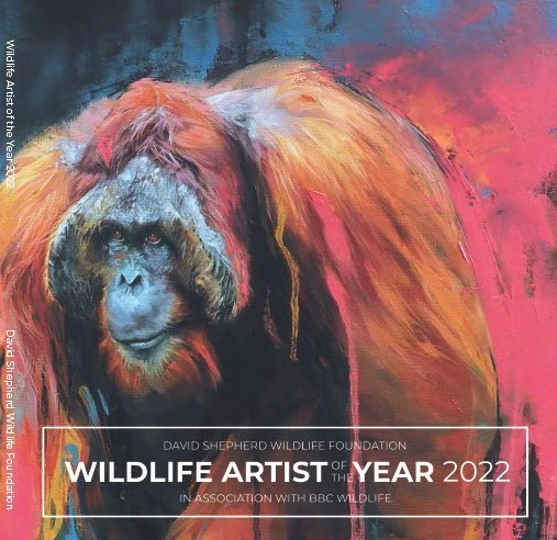 DSWF Wildlife Artist of the Year 2022 Exhibition Catalogue