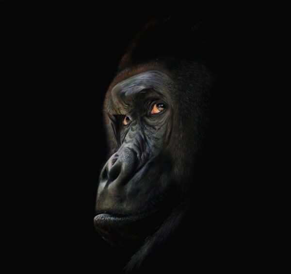 Strength in Darkness