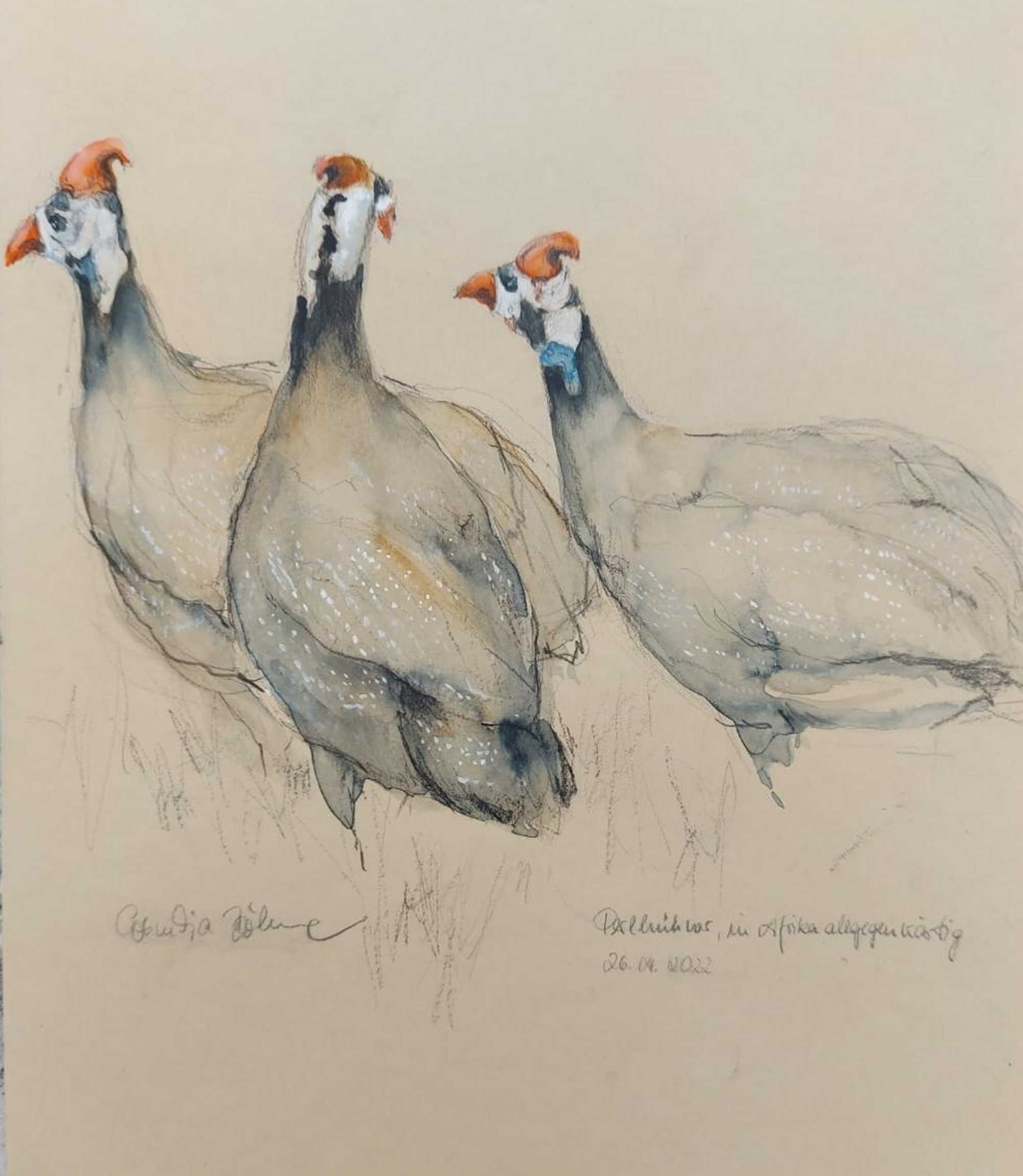 #WAY011 Cornelia Bohme - Guinea Fowl are Ubiquitous in Africa