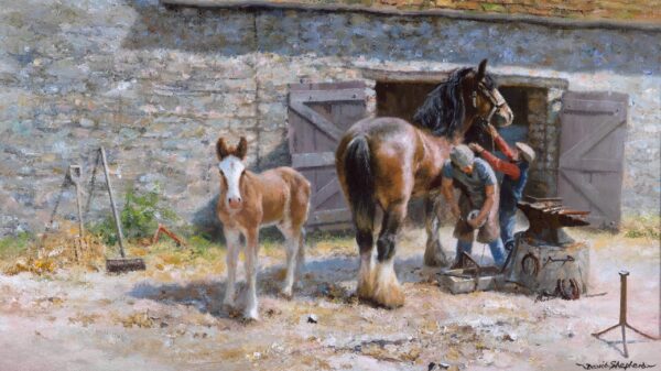 Shoeing Time