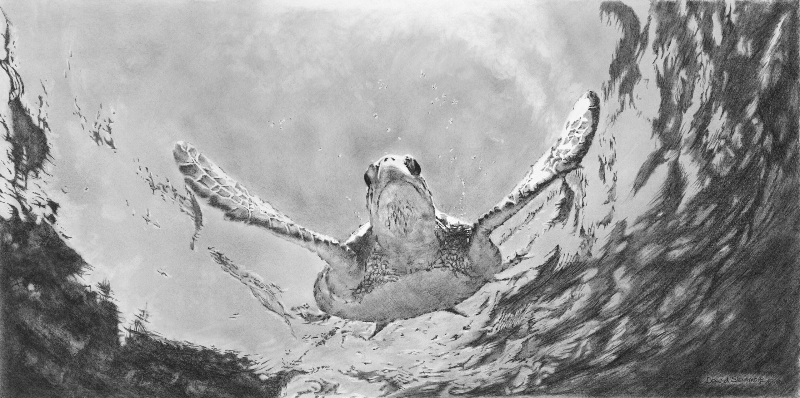 #WAY131 David Skidmore - Peace in Motion