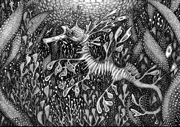 Leafy Seadragon