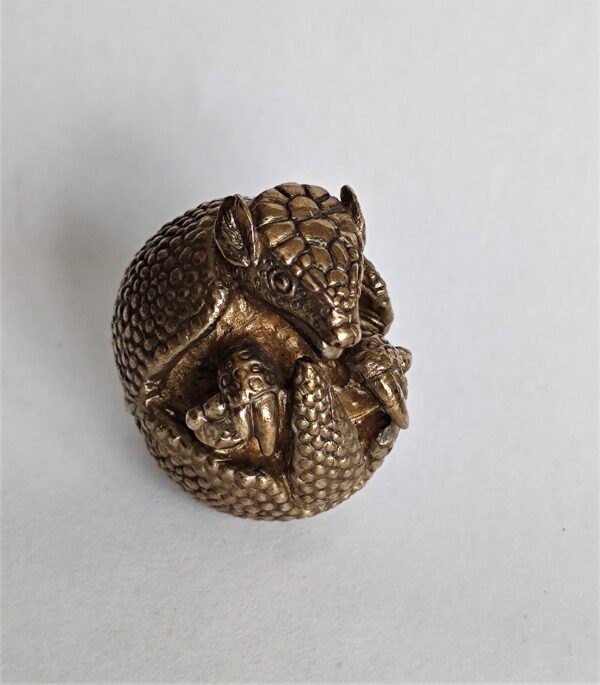 Brazilian Three Banded Armadillo