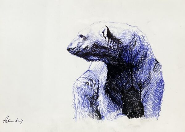 WAY Sketch for Wildlife - Polar Bear by Cole Stirling
