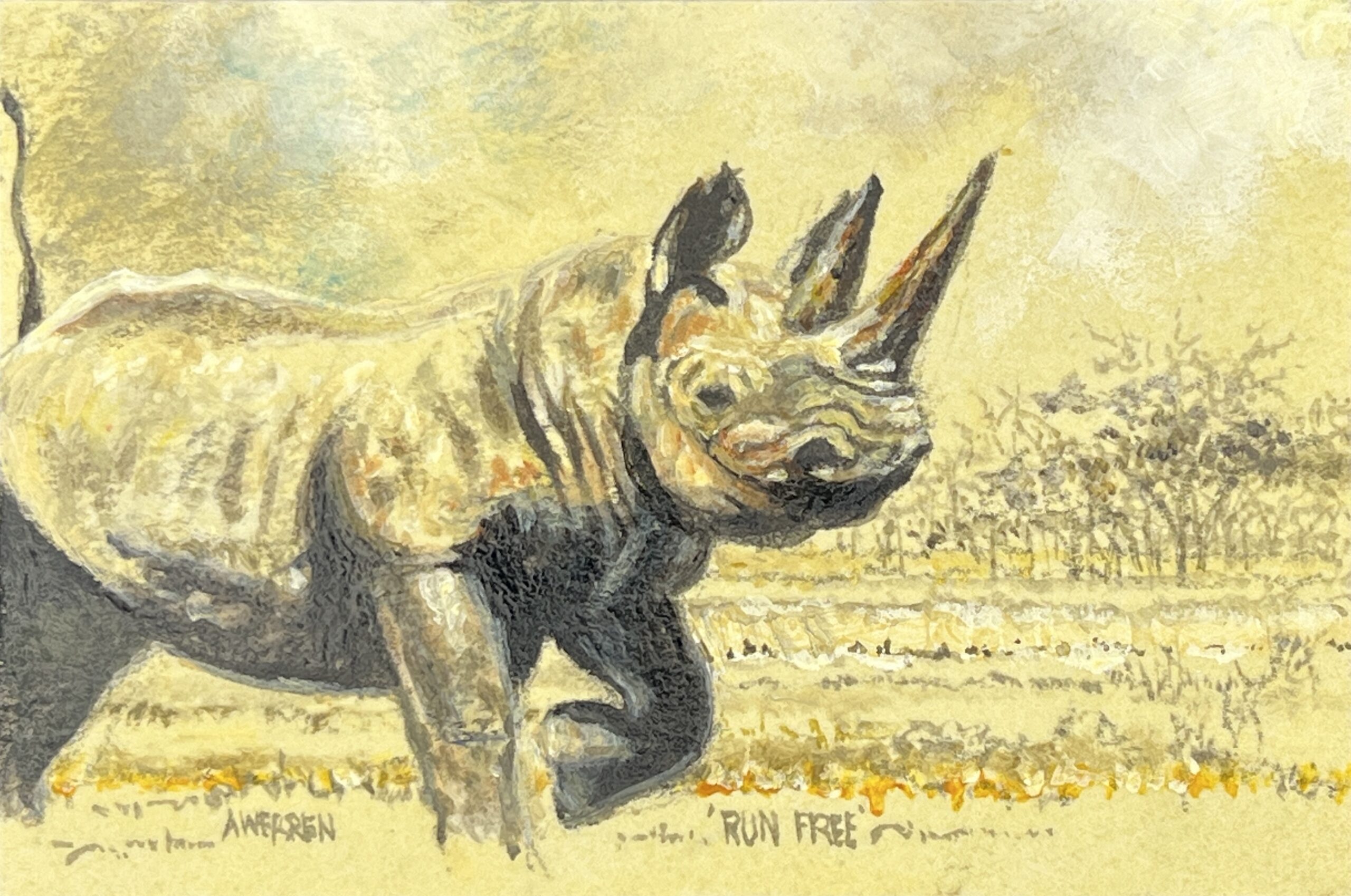 WAY Sketch for Wildlife 2021 - Rhino by Arthur Werren