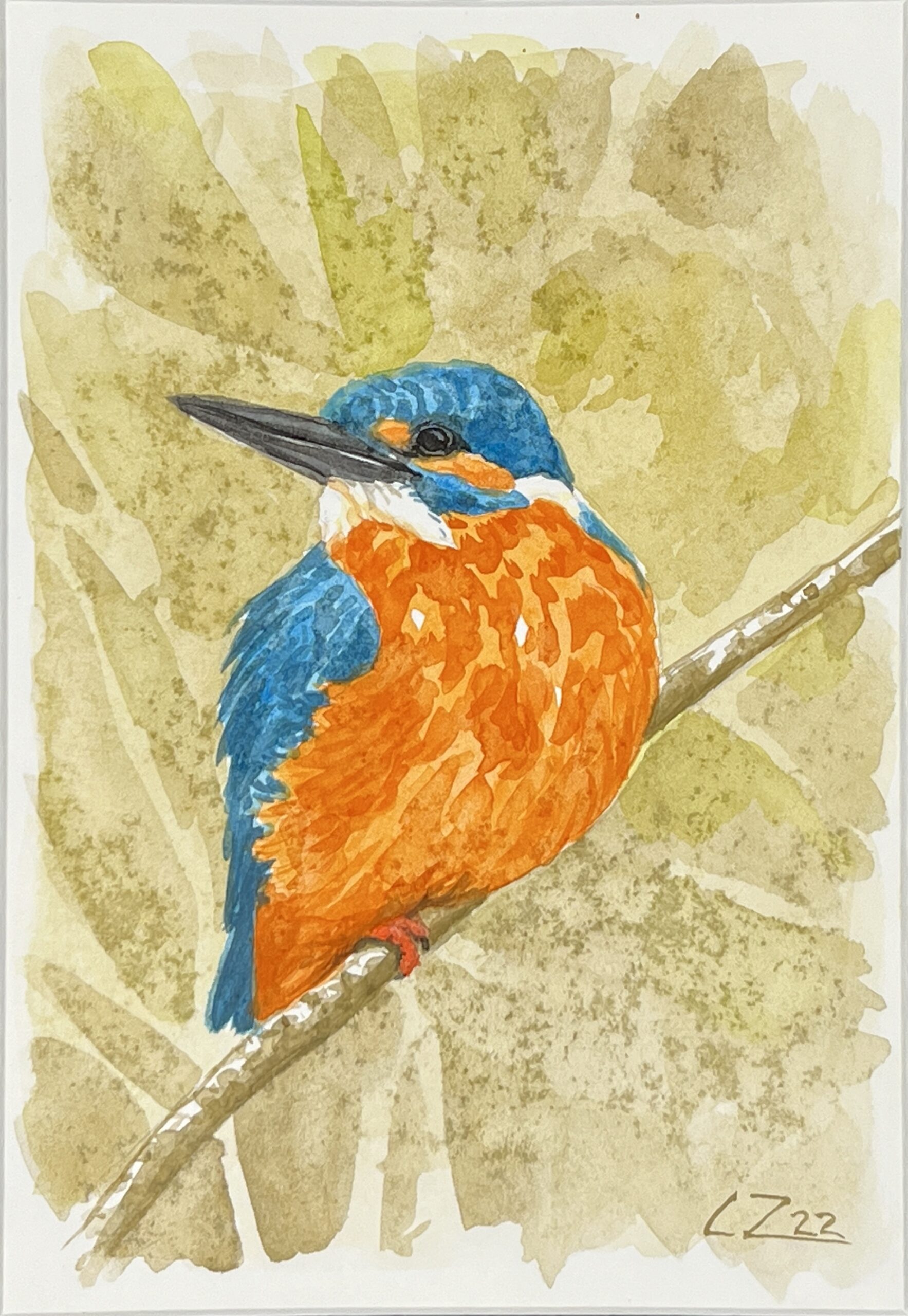 WAY Sketch for Wildlife 2022- Kingfisher by Corinne Zollinger