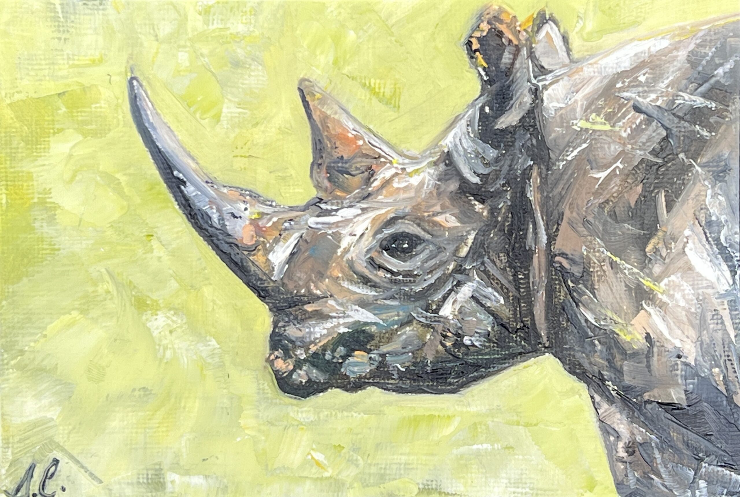 WAY Sketch for Wildlife 2022 - Wearing his Armour by Sharon Casey