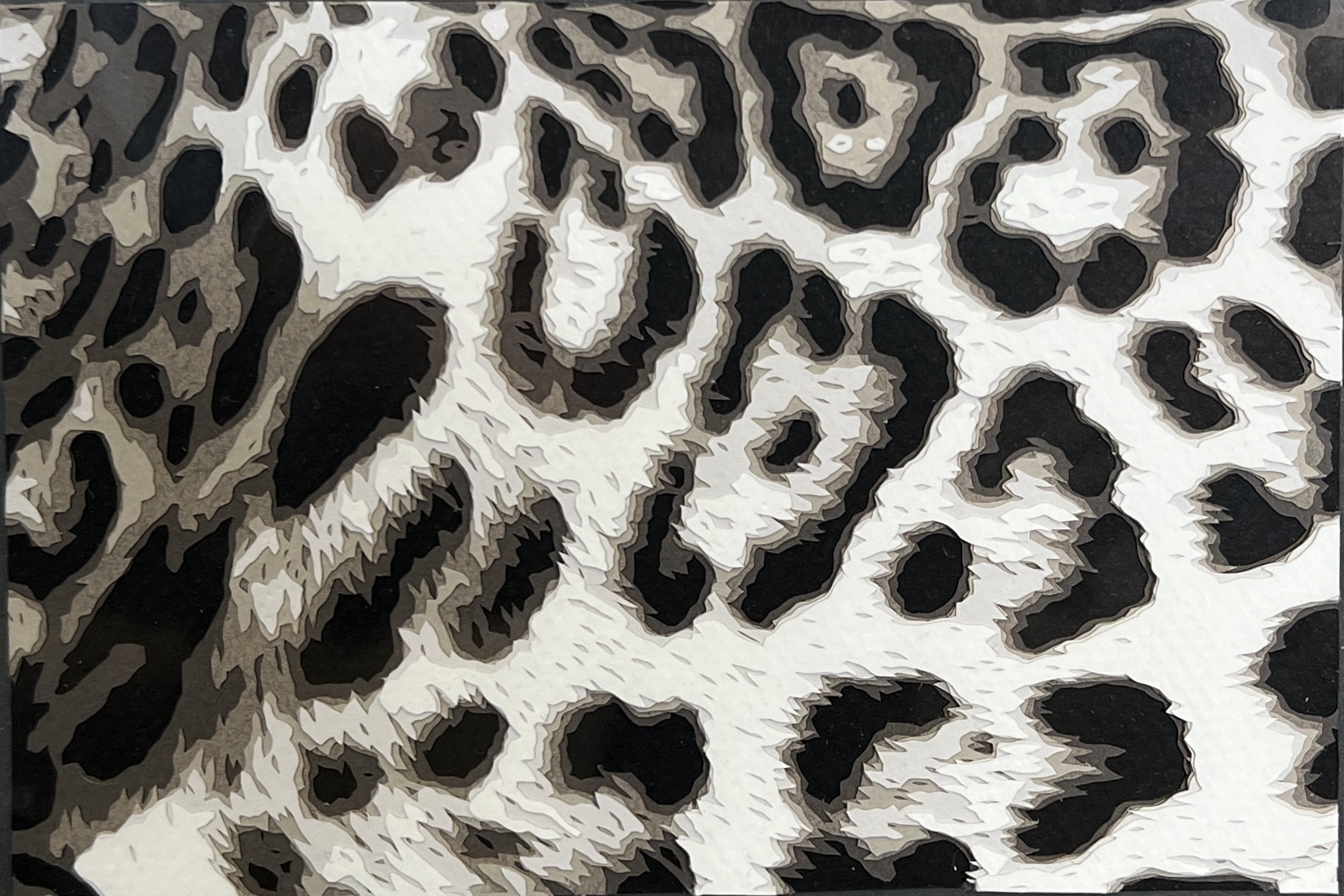 WAY Sketch for Wildlife - Kiera by Sarah Lake