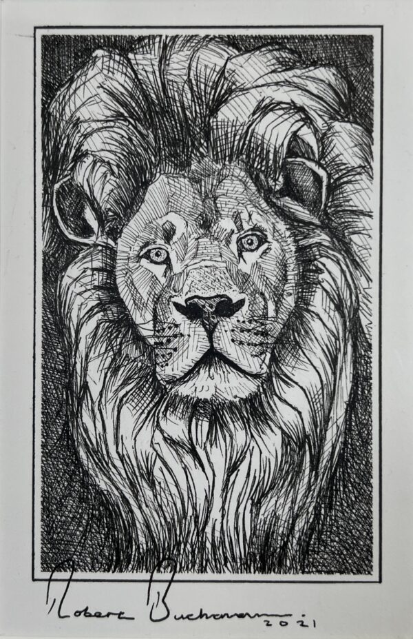 WAY Sketch for Wildlife 2021 - Lion's Head by Robert Buchanan