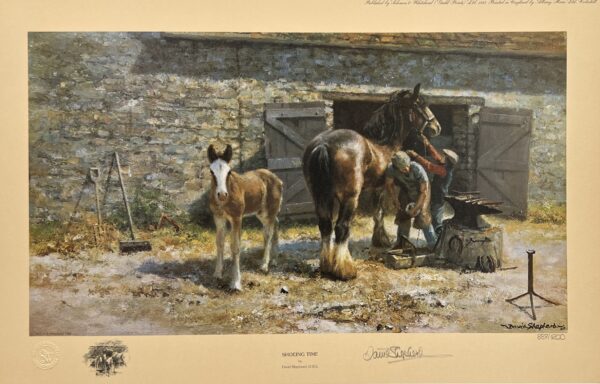Shoeing Time