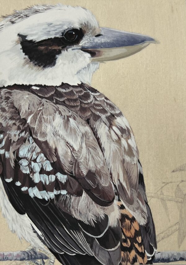WAY Sketch for Wildlife 2023 – Smartie Beak by Elizabeth Faul