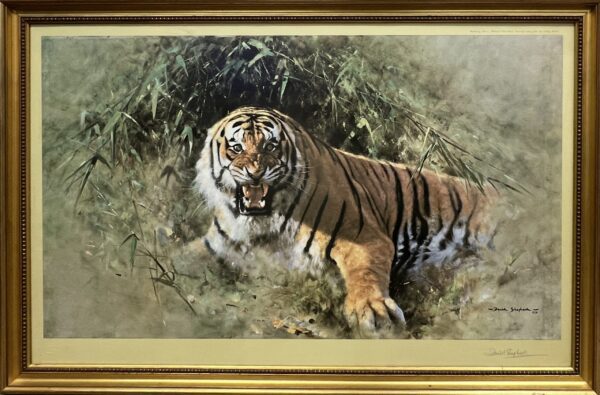 Tiger Fire