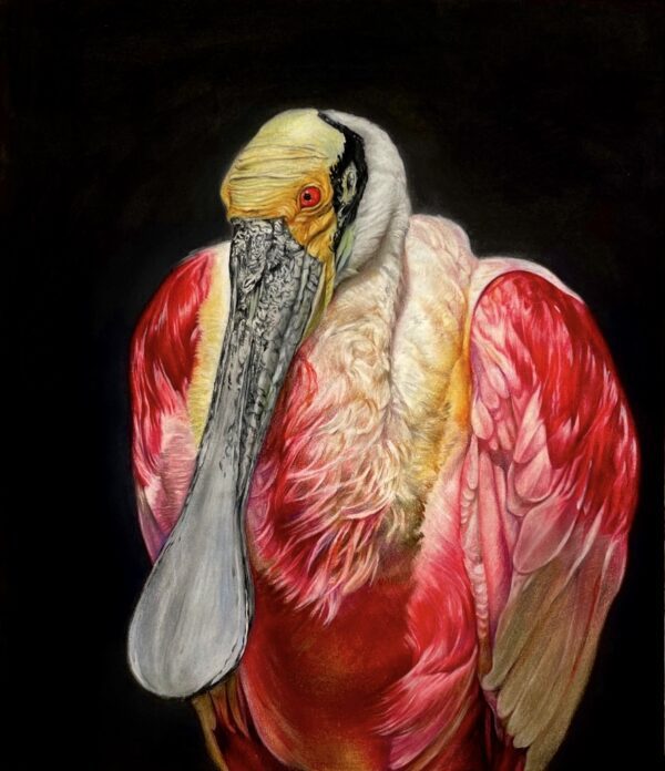 #WAY24MAIN119 Jeongyun Park - Spoonbill