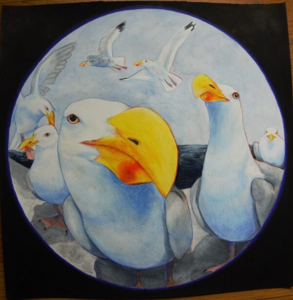 #WAY075 Joey Kennedy - Seagull Eye