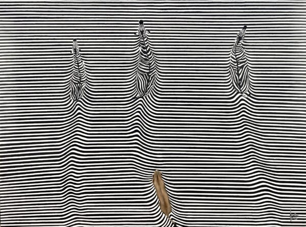 A Dazzle of Zebra