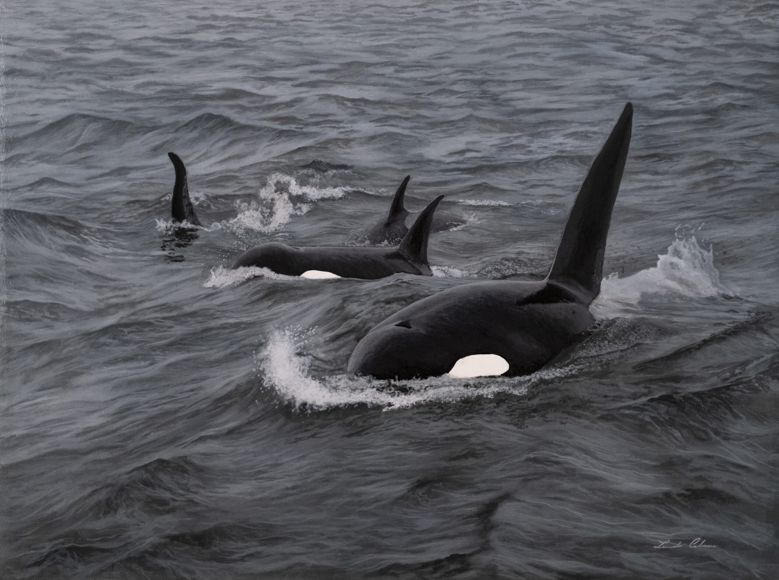 #WAY023 Leonardo Calonaci - Top Team