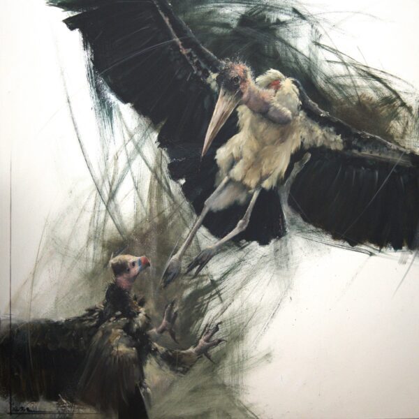 #WAY100 Lieze Meyer - The Squabble