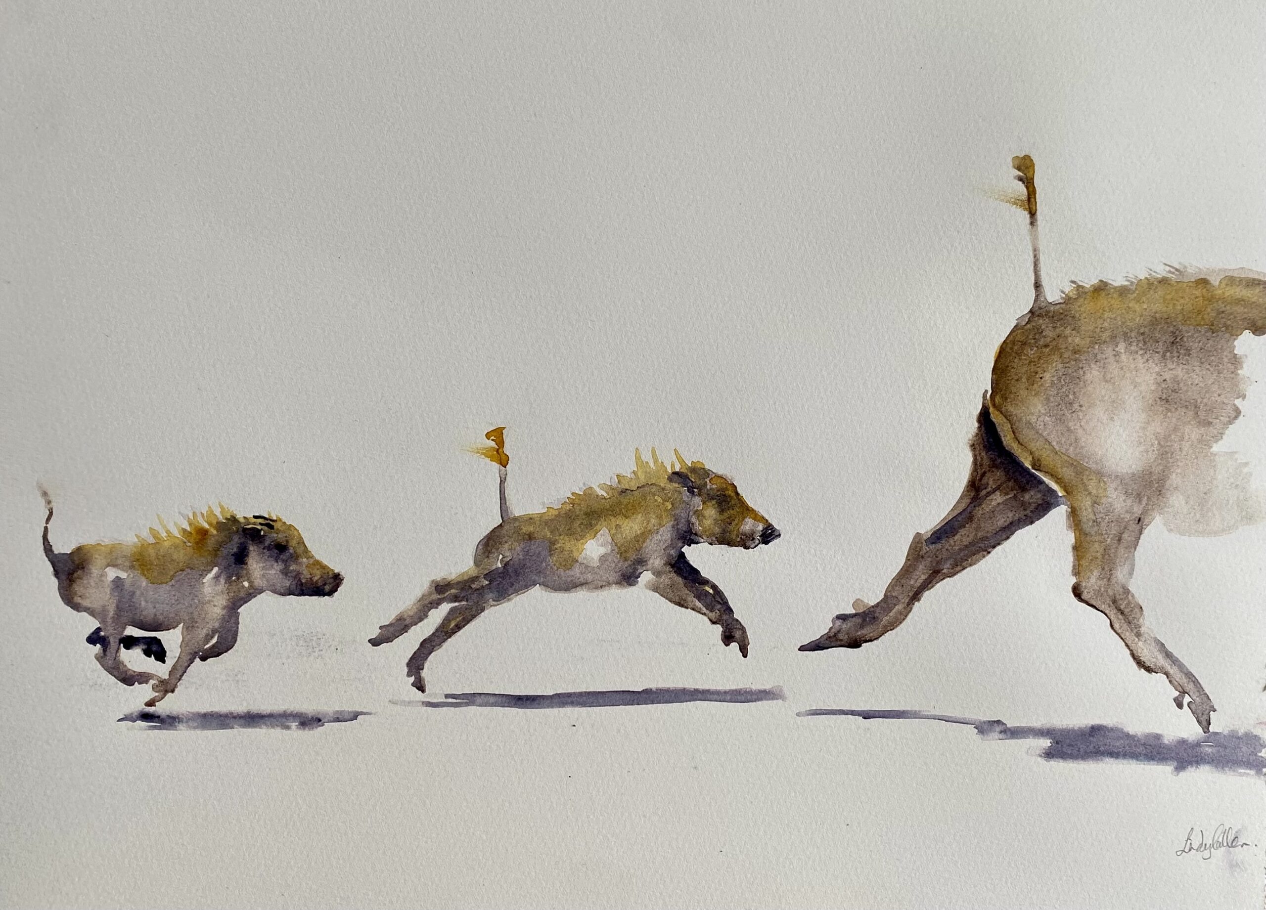 #WAY027 Lindy Cullen - Follow Me, I'm Right Behind You!