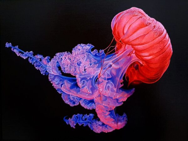#WAY053 Matteo Germano - Jellyfish