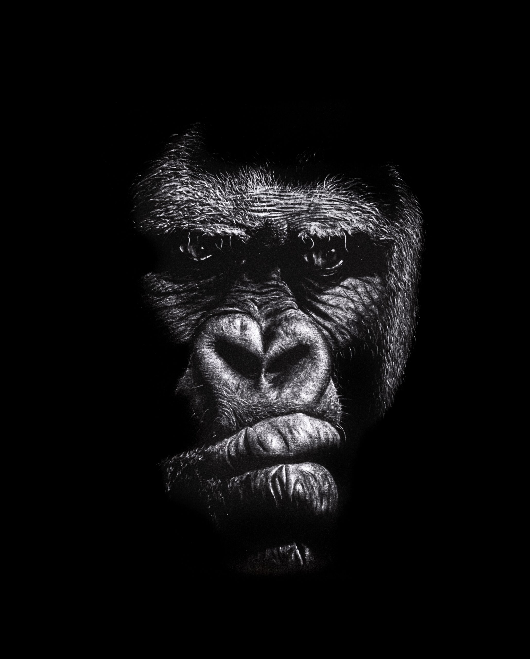 #WAY113 Mike Pickett - Suspicion