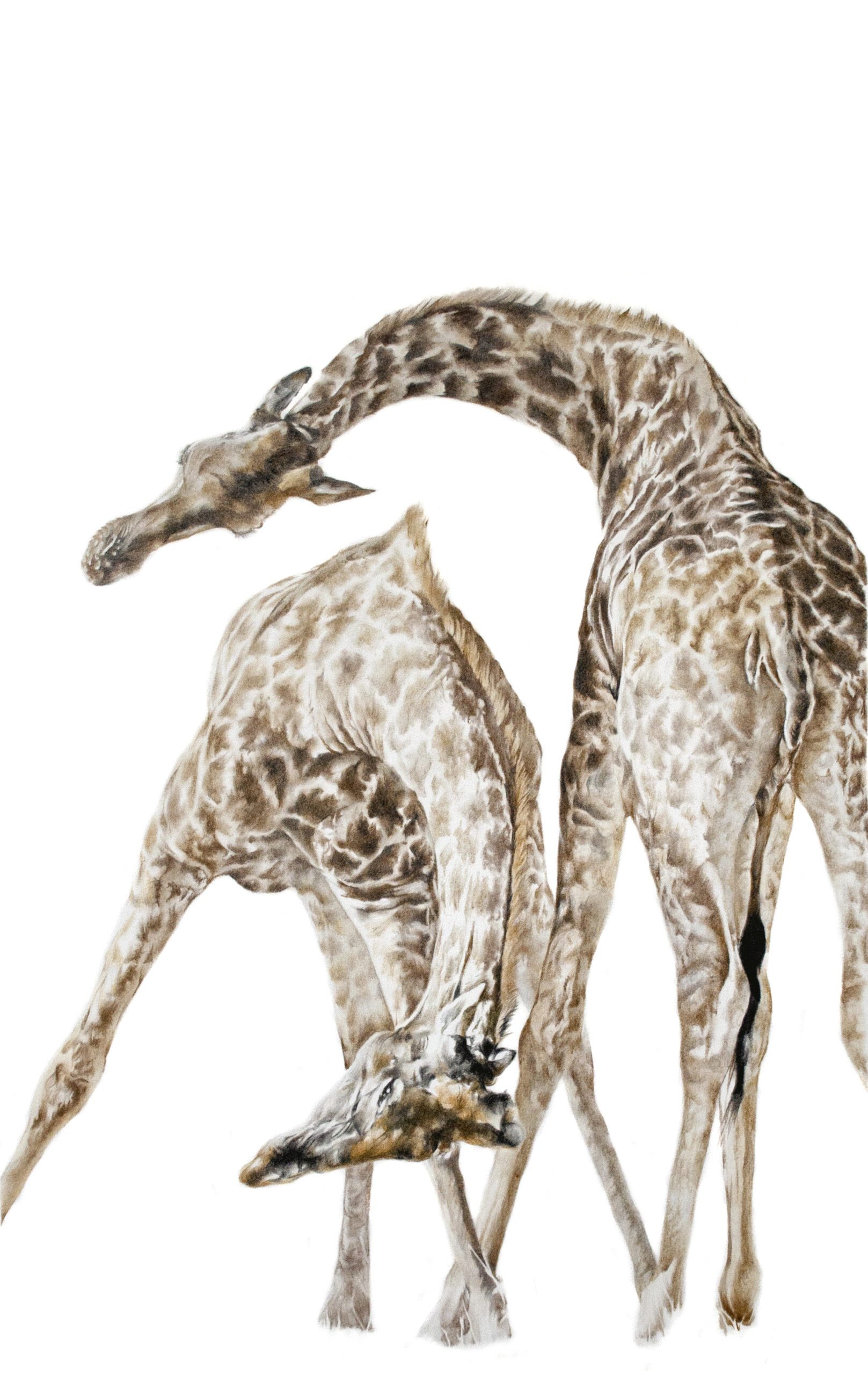 #WAY24MAIN50 Nicola Gillyon - Neck and Neck