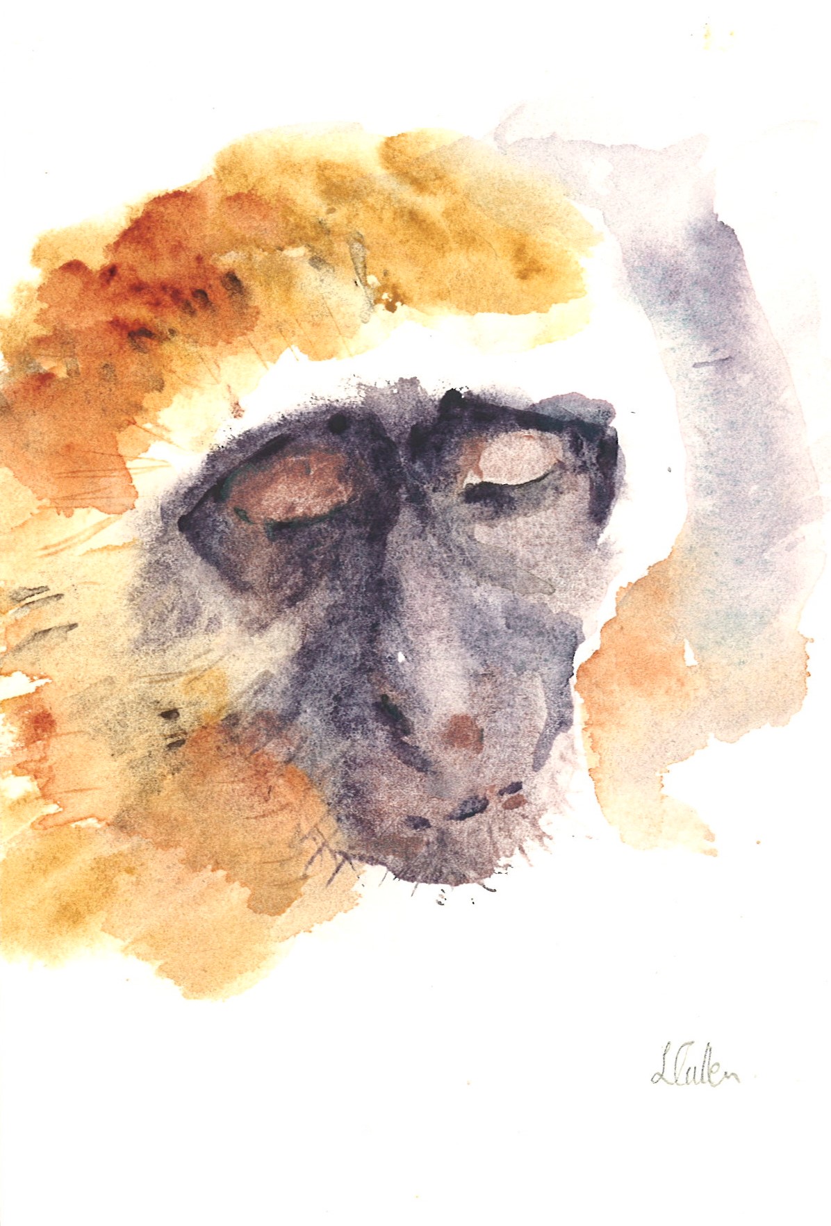 No. 13 - Lindy Cullen