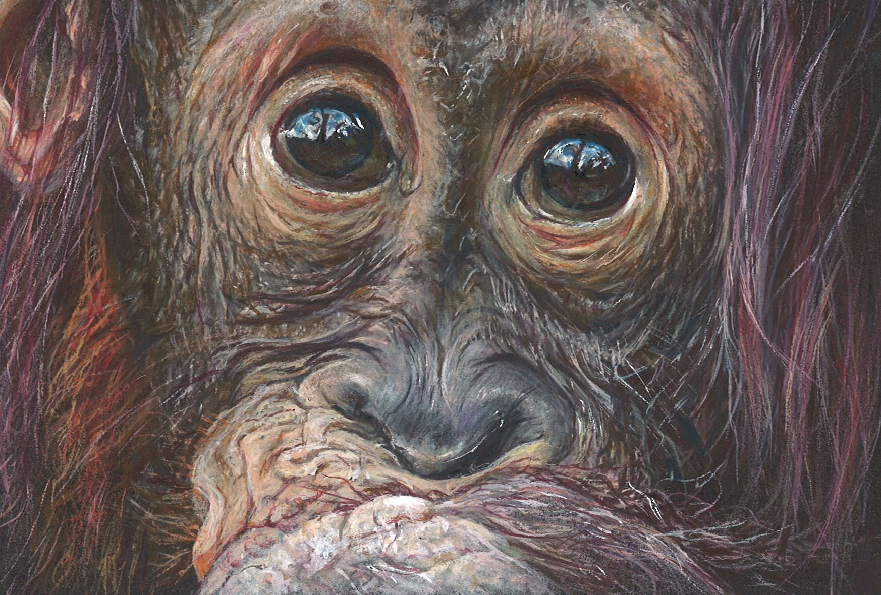 No. 17 - Geraldine Simmons