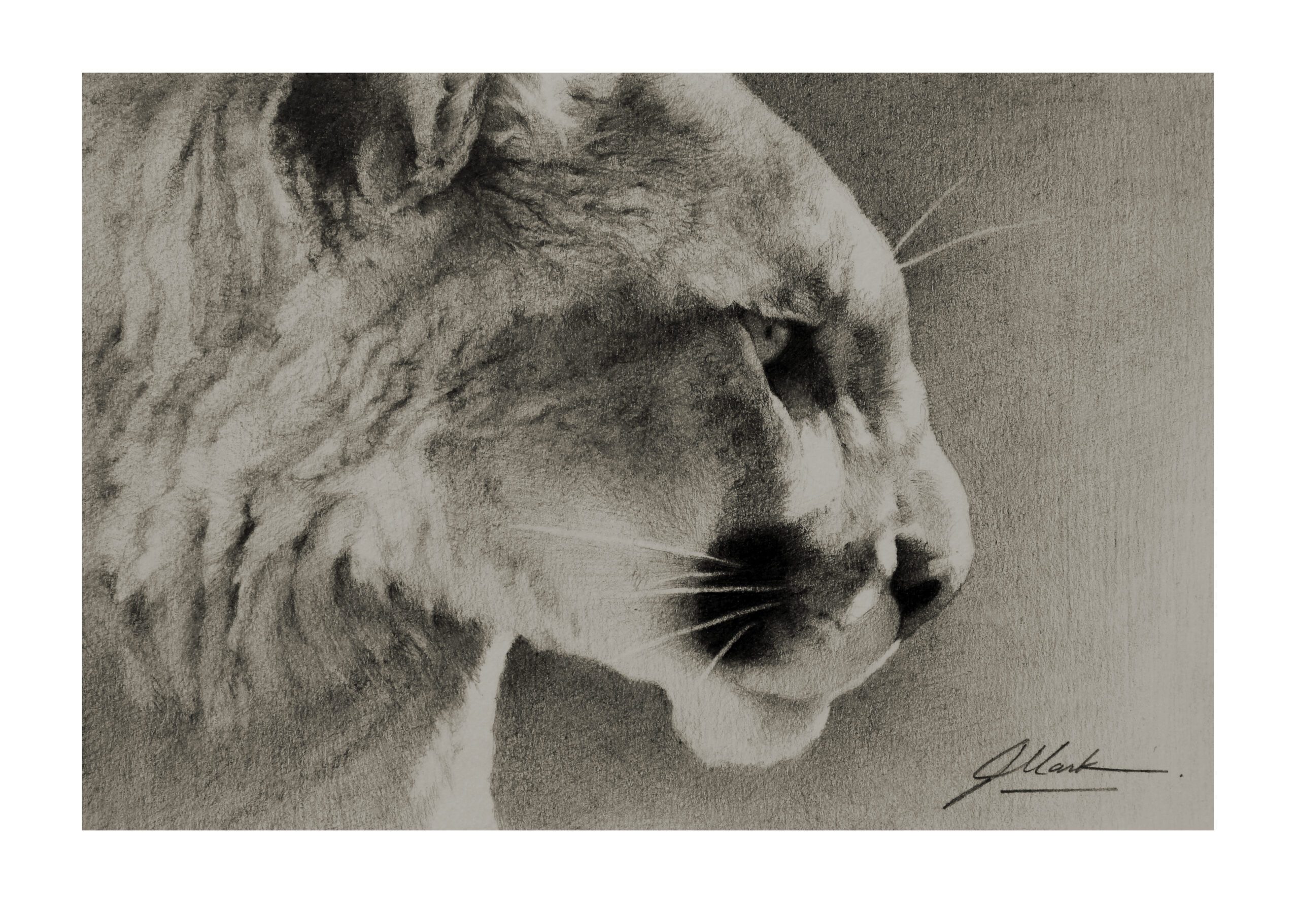 No. 21 - Justin Mark