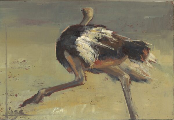 No. 26 - Lieze Meyer
