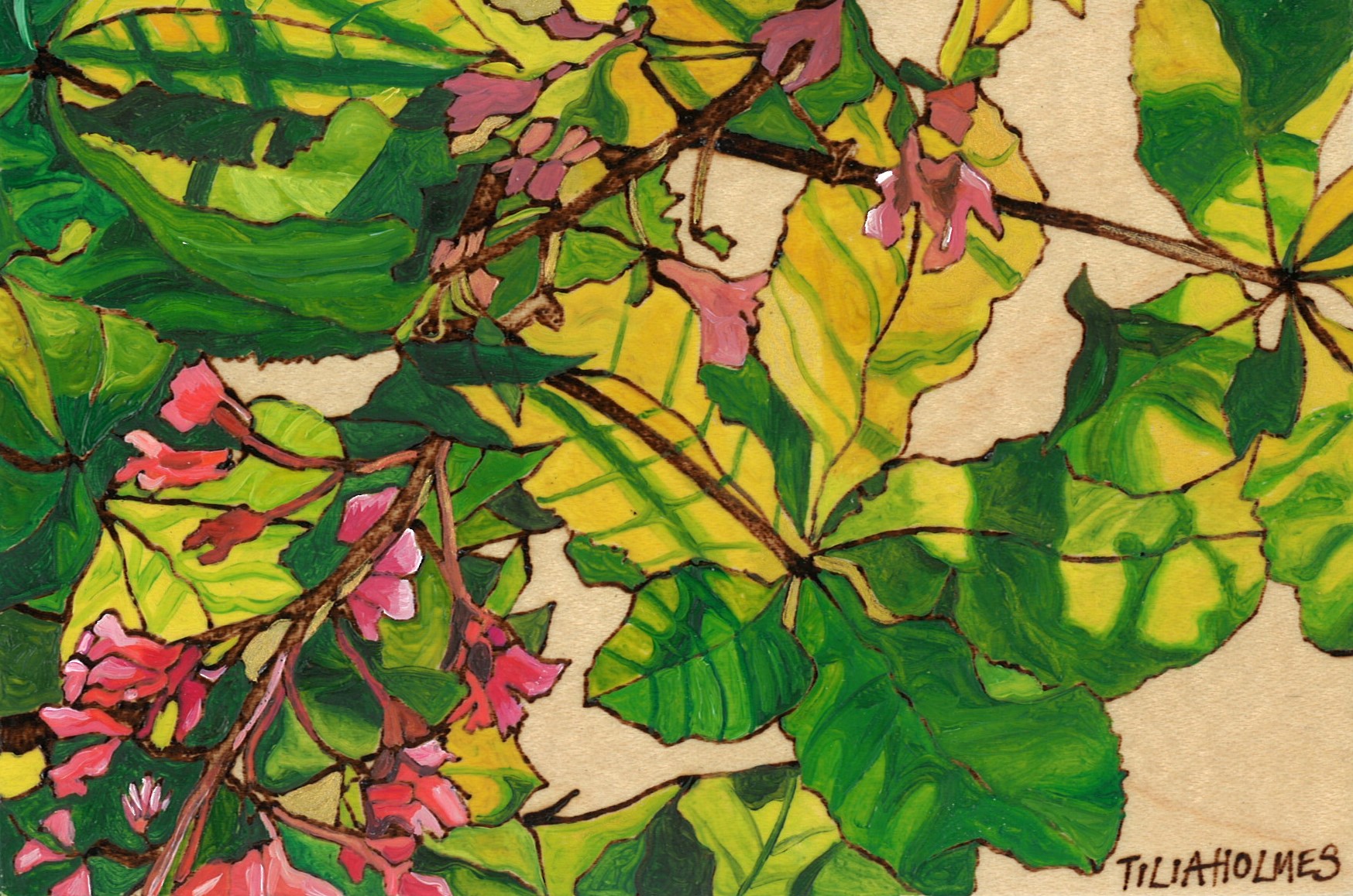 No. 35 - Tilia Holmes