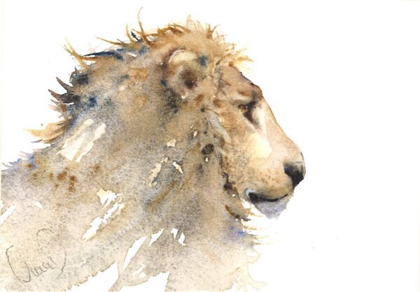 No. 51 - Jane Davies