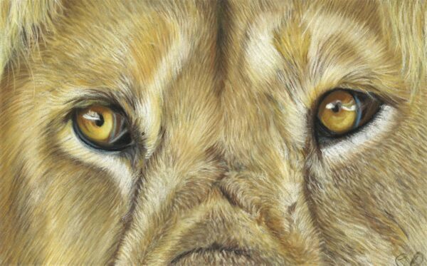 No. 57 - Clare Parkes