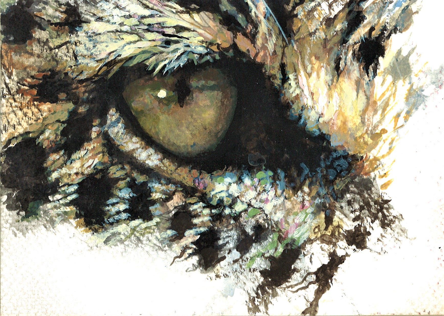 No. 62 - Gale More O'Ferrall