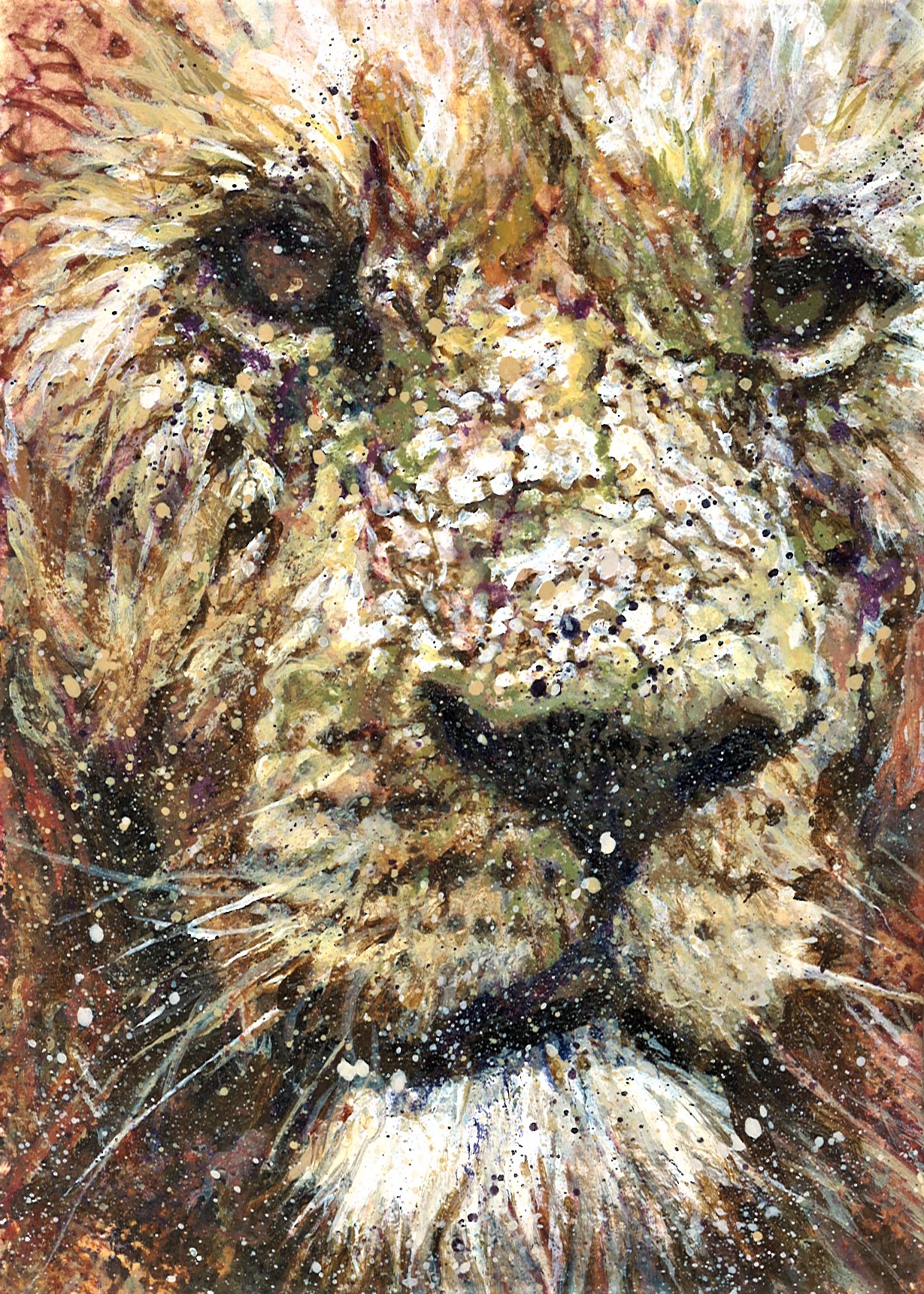 No. 63 - Gale More O'Ferrall