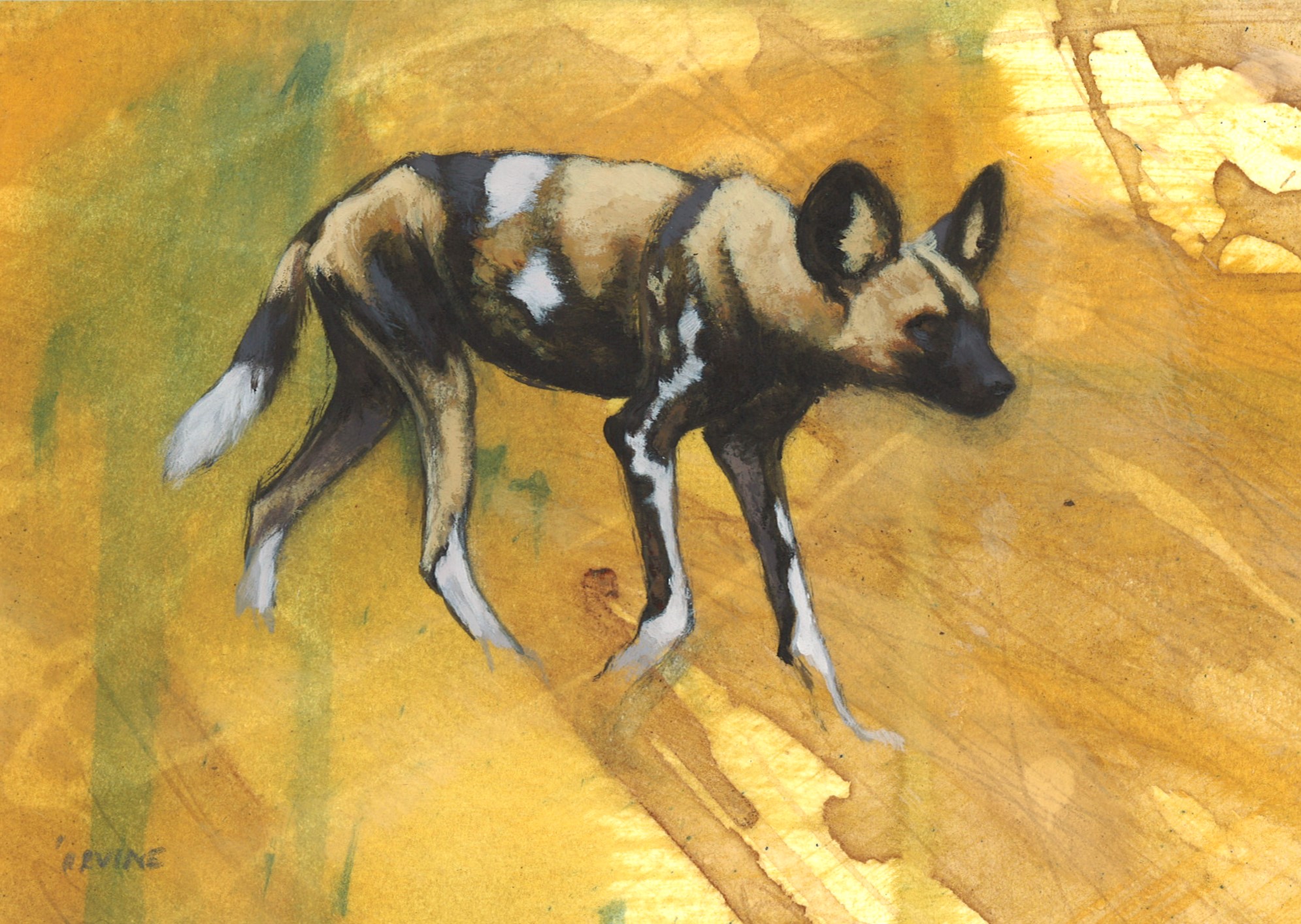 No. 67 - Heather Irvine