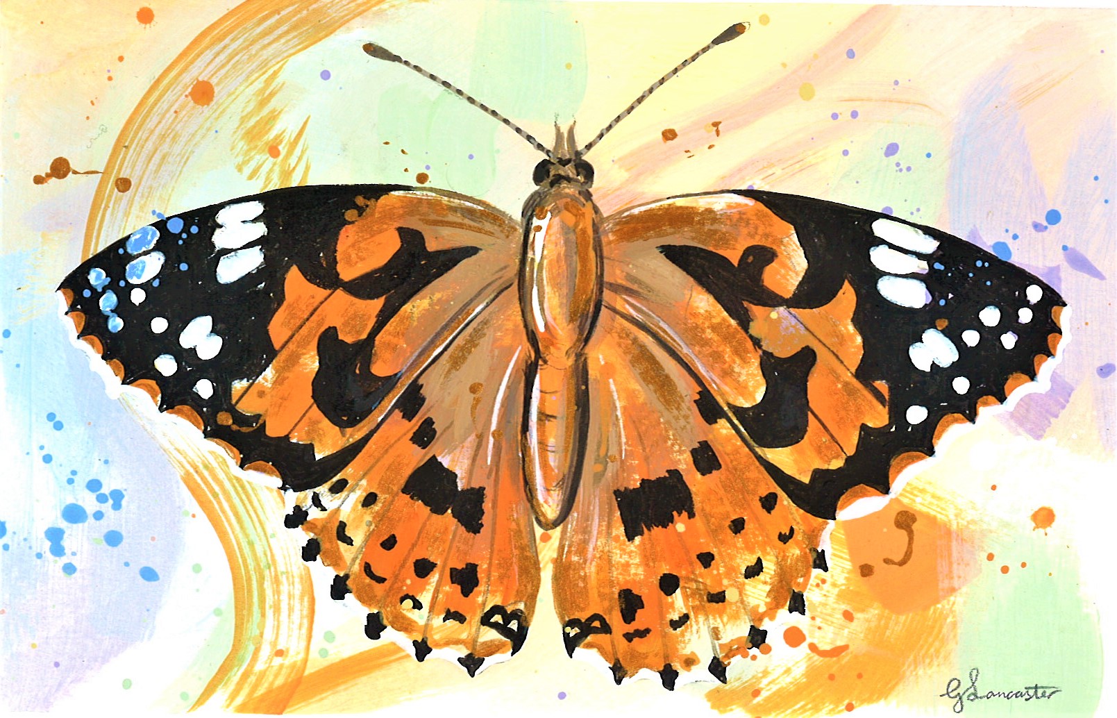 WAY Sketch for Wildlife 2023 - Painted Lady by Georgia Lancaster