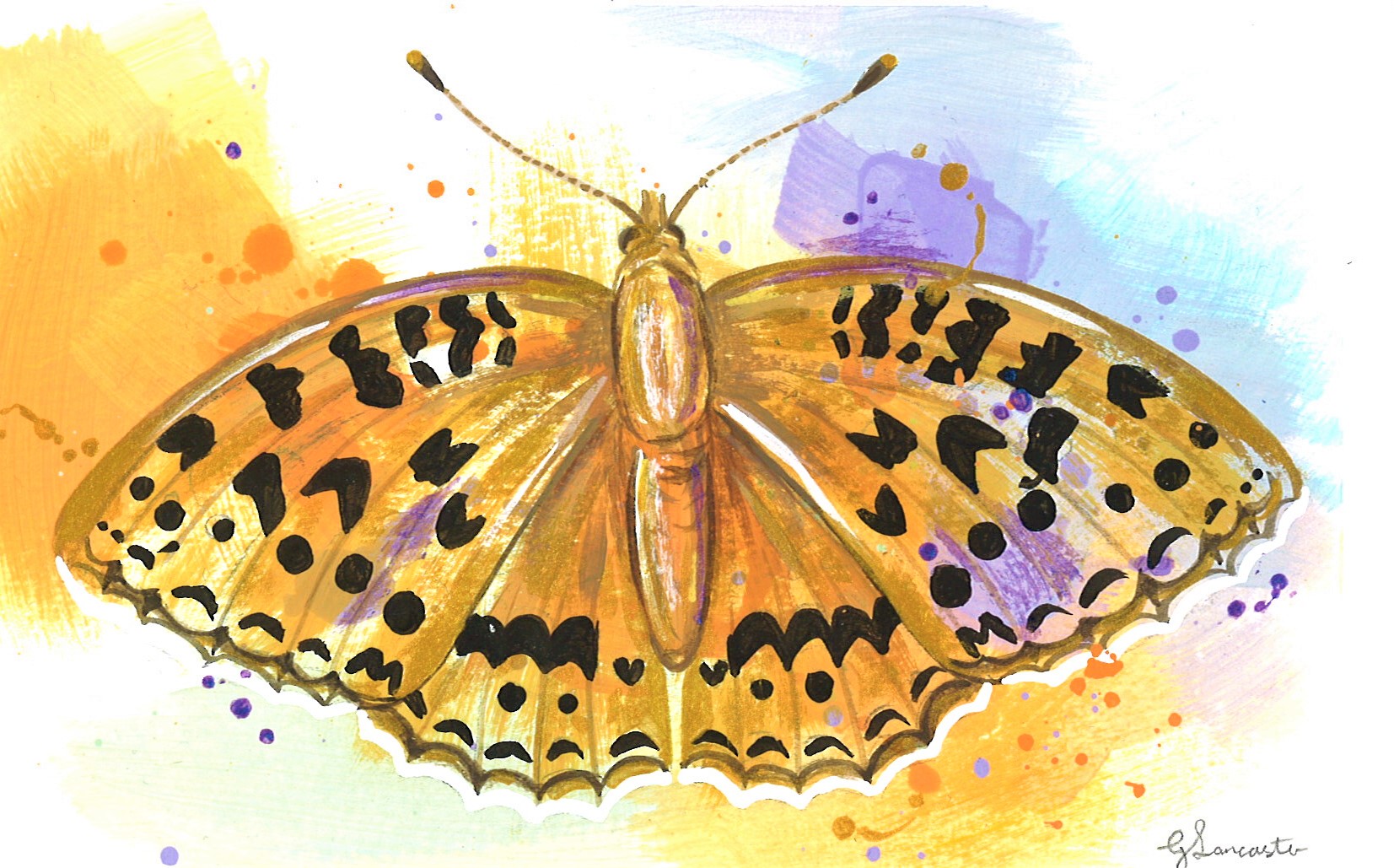 WAY Sketch for Wildlife 2023 - High Brown Fritillary by Georgia Lancaster