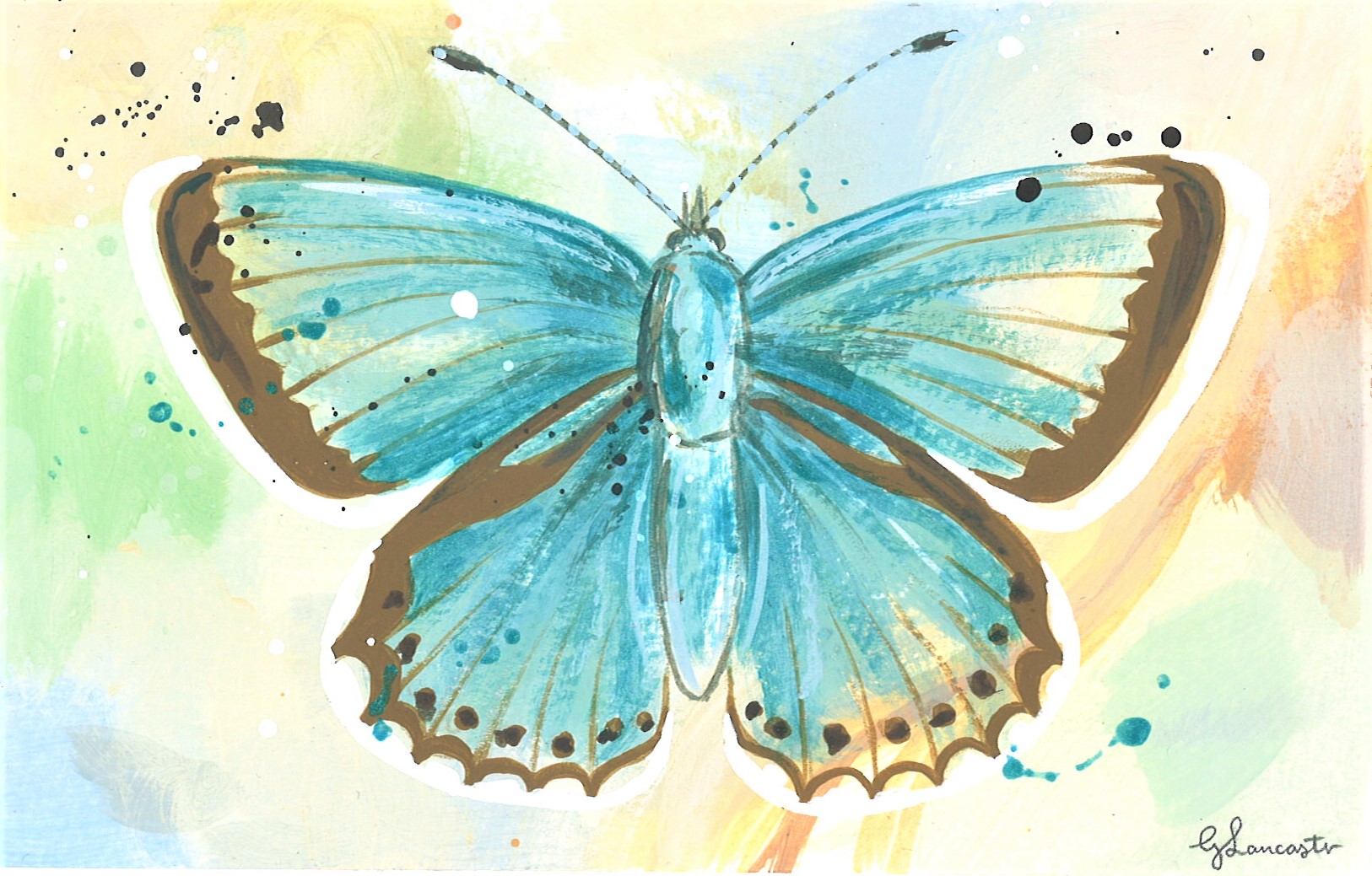 WAY Sketch for Wildlife 2023 - Chalk Hill Blue by Georgia Lancaster