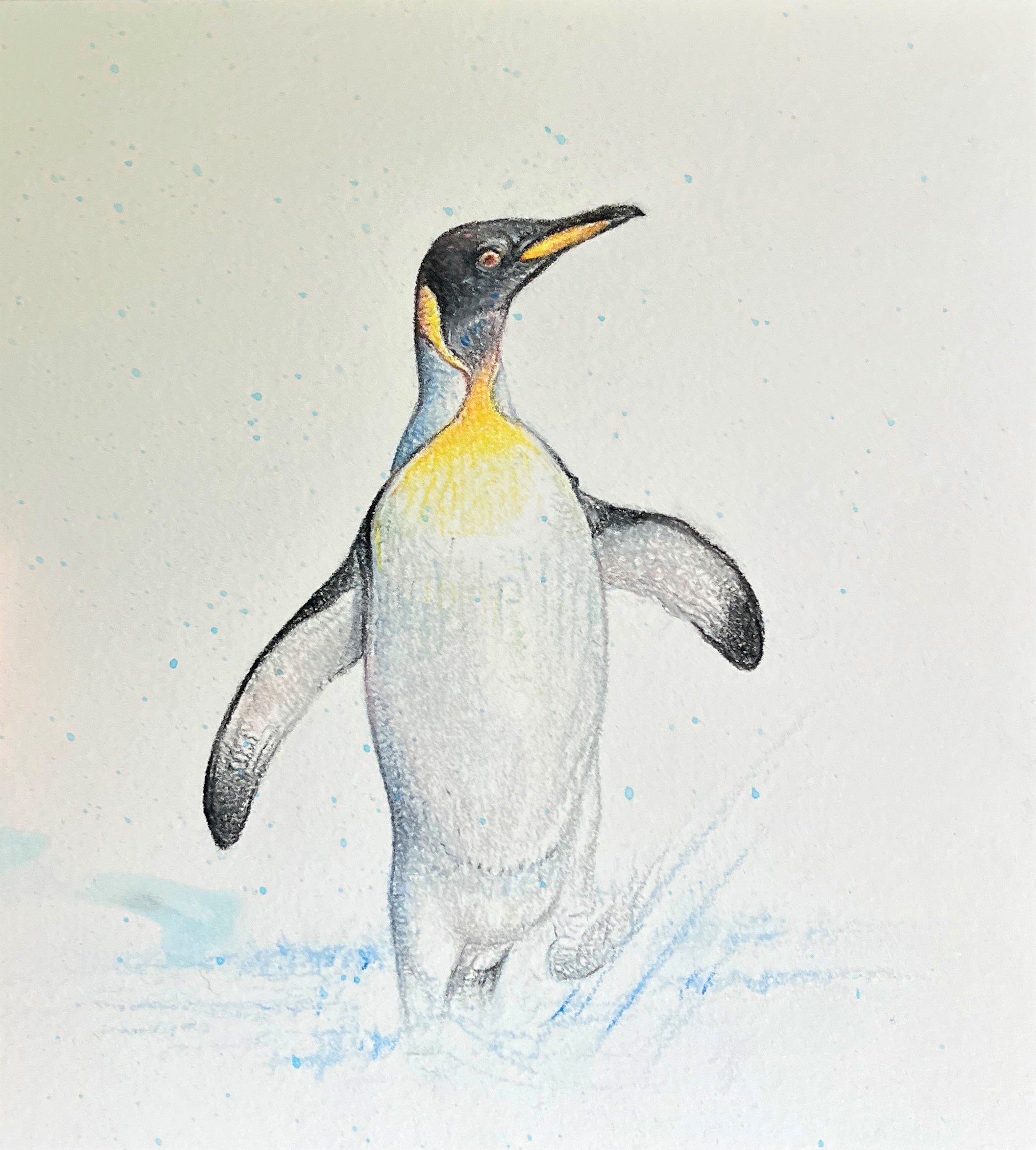 No. 89 - Martin Aveling