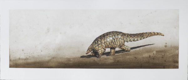 #WAY079 Penel Kirk - Pangolin