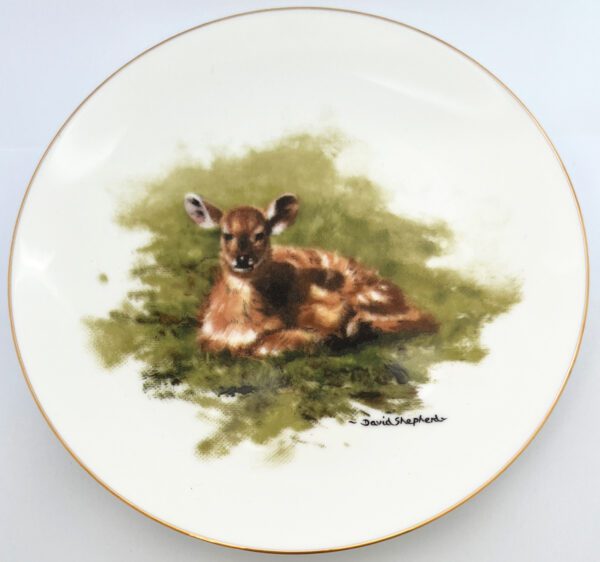 Nyala Calf - Small Wedgwood Plate