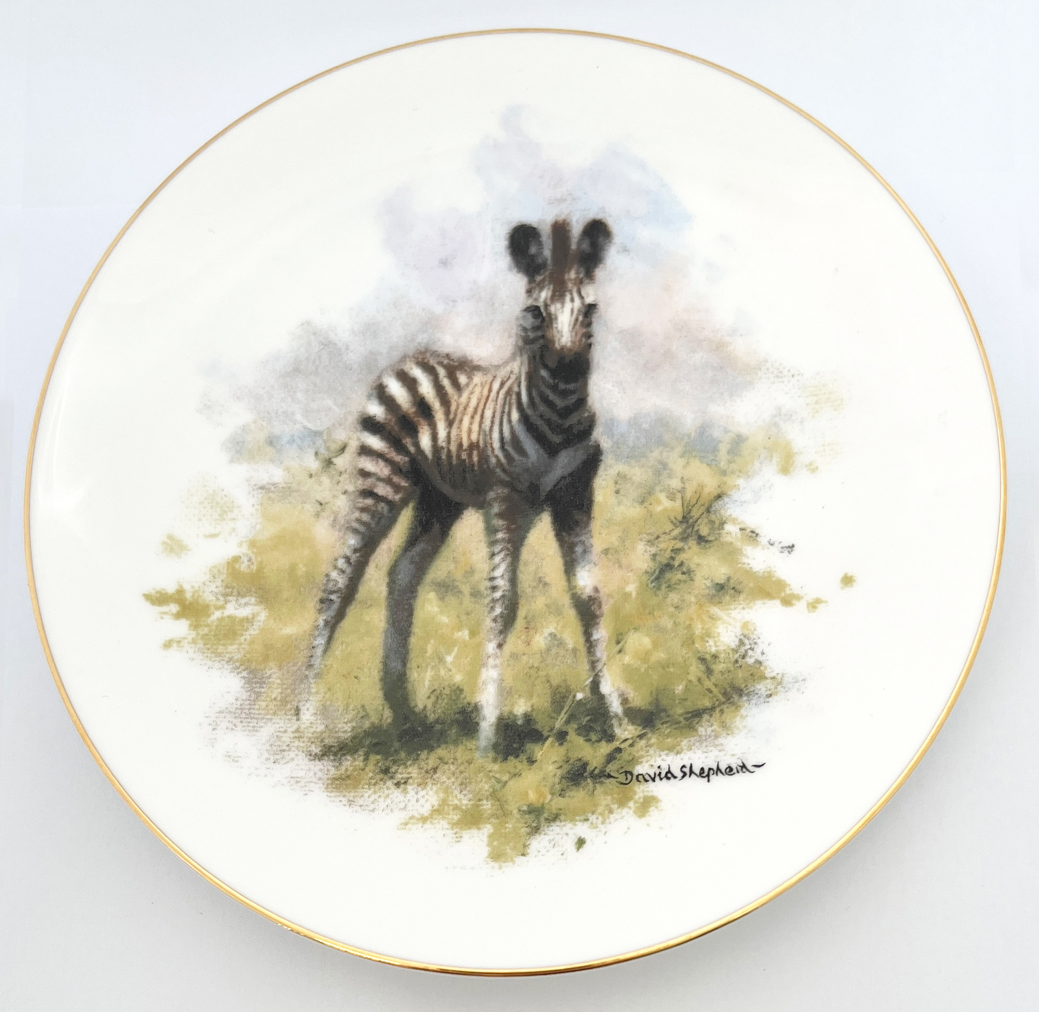 Zebra Foal - Small Wedgwood Plate