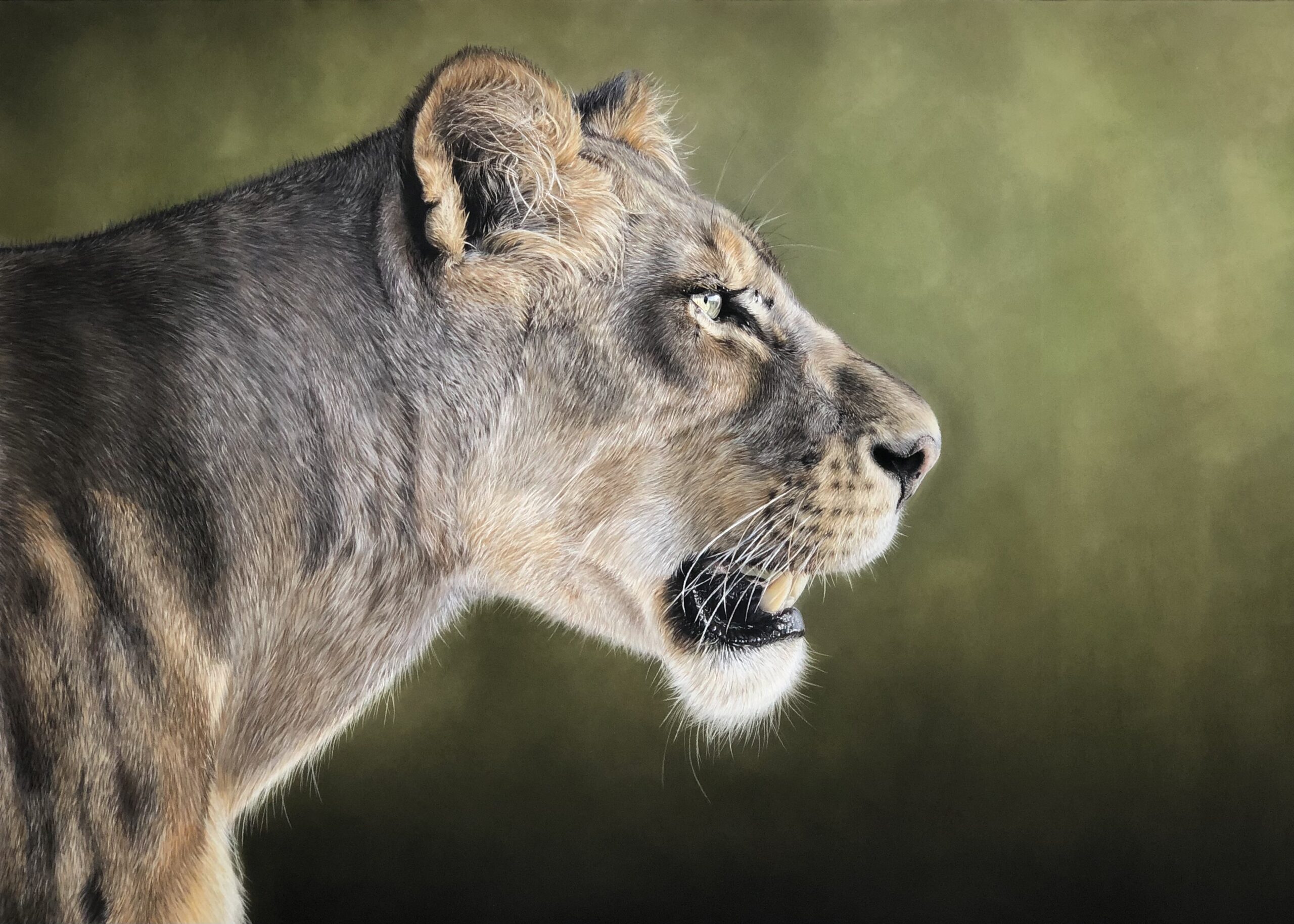 #WAY120 Rachael Porosa - A Watchful Eye